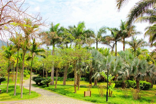 谷膳闽味台湾卤肉饭加盟开店资金不够应该怎么办