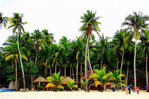 创业开什么店男的多