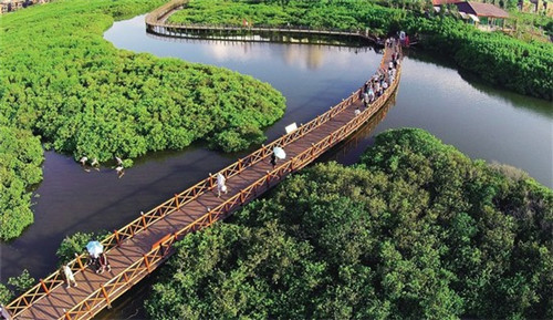 2025年还能在沧县投资中式快餐店吗，现在在沧县有多少家三水木桶饭加盟店