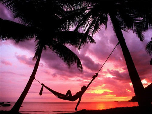 淳韵烧仙草加盟亏不亏，投资创办淳韵烧仙草怎么样