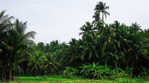 西安哪里好玩门票低价（西安哪里好玩门票低价免费）