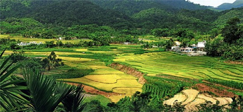 莲海世界旅游景区 门票（莲海世界景区在哪里）