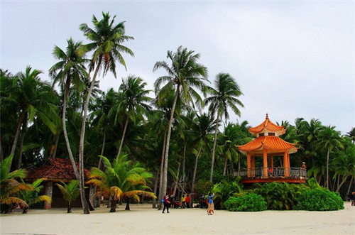 舜臻装修公司实力（舜臻装修公司实力怎么样）