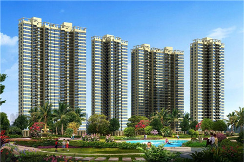 炒油菜面筋家常做法（油菜炒面筋球怎么做好吃）